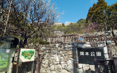 岡本公園・岡本梅林